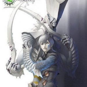 Shin Megami Tensei: Digital Devil Saga